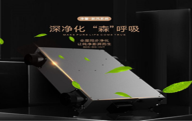 巴迪斯新品——黑金·系列,，即將登場