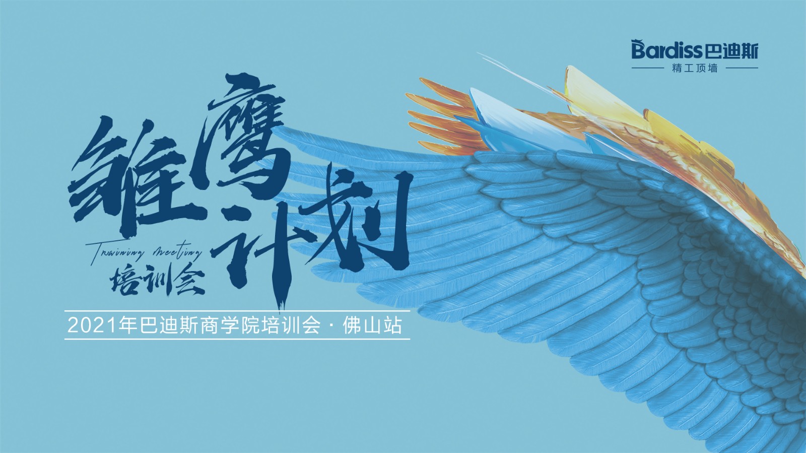 巴迪斯“雛鷹計(jì)劃”培訓(xùn)會(huì)順利結(jié)營